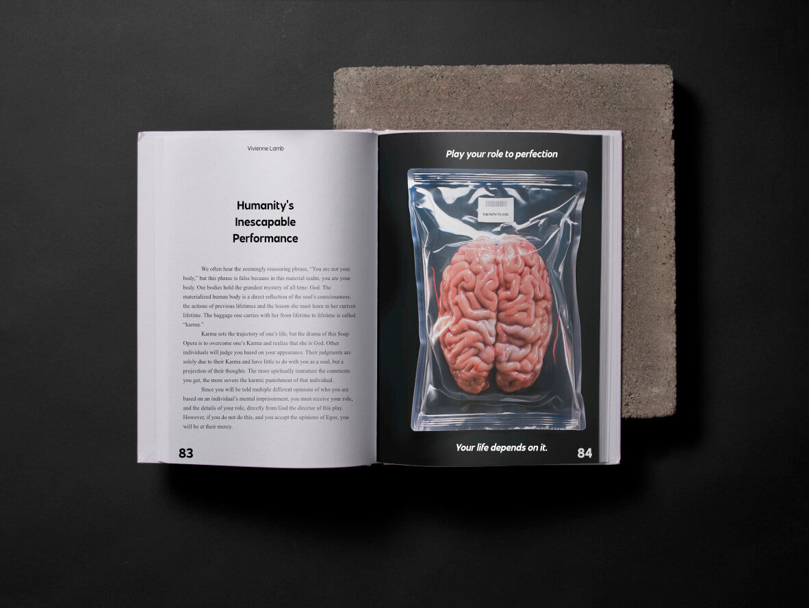 the paperback for the smart human by vivienne lamb